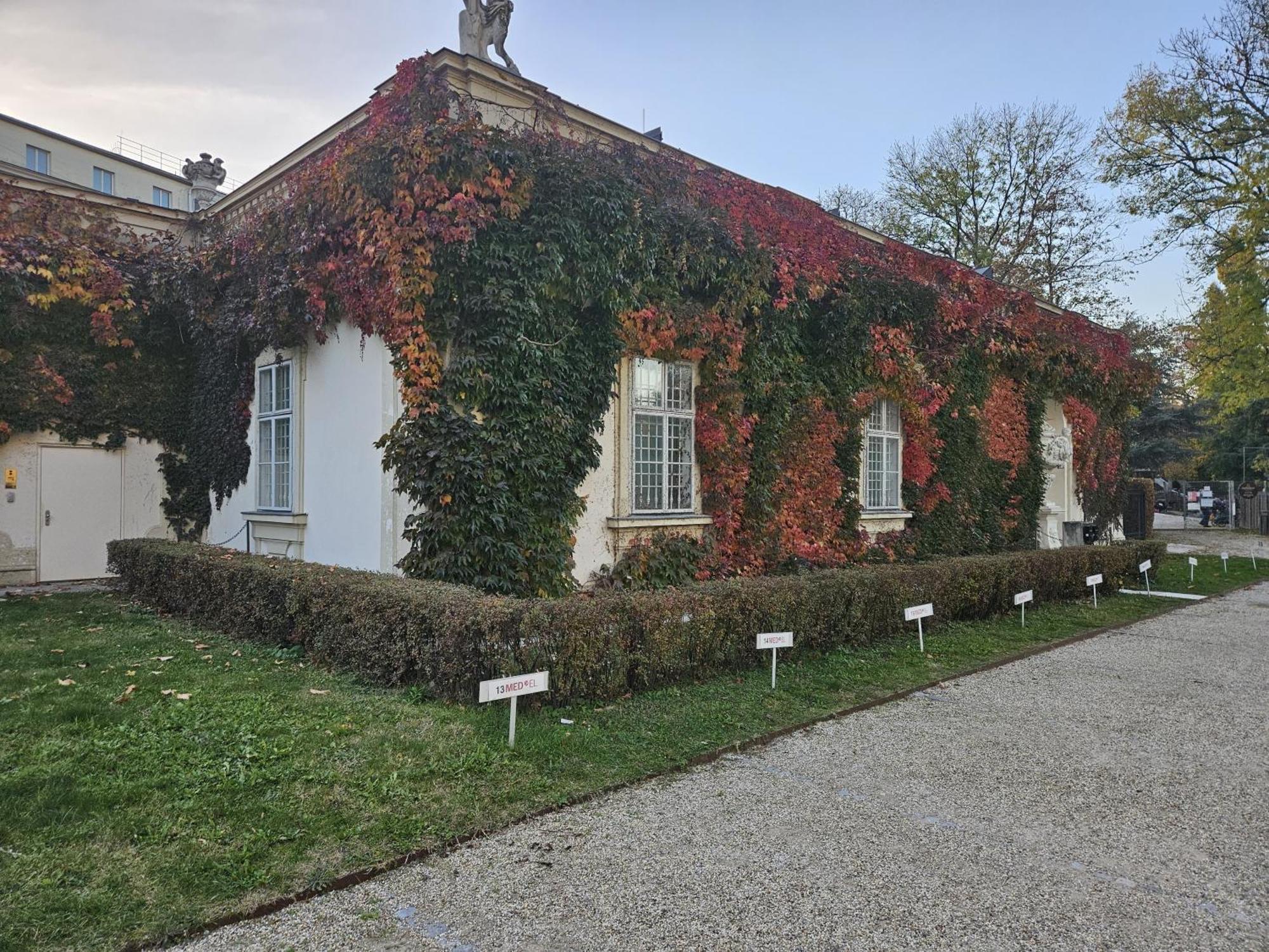 Mauthaus Lichtenstein Vienna Luaran gambar